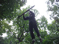 DSCF4857.JPG
