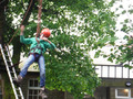DSCF4864.JPG