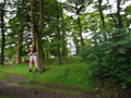 DSCF4868.JPG