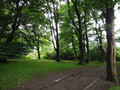 DSCF4869.JPG