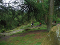 DSCF4910.JPG