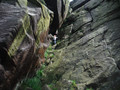 DSCF4917.JPG