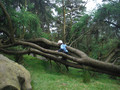 DSCF4939.JPG