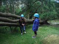 DSCF4940.JPG