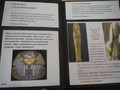 G&THistory32016.JPG