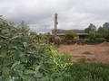 P1010137.JPG