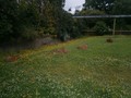 P1010139.JPG