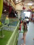 P1040557.JPG