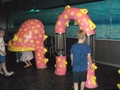 DSCF9765.JPG