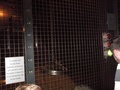 DSCF9784.JPG