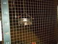 DSCF9785.JPG