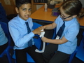 DSC00179.JPG