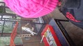 DSC02903.JPG