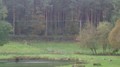 DSC02906.JPG