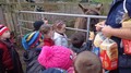 DSC02914.JPG