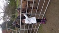 DSC02925.JPG