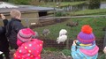 DSC02928.JPG