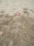 June 2016 093.JPG