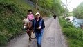 13240066_10209525109911211_4261999458157962681_n.jpg