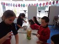 DSC02744.JPG
