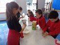 DSC02748.JPG