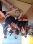 DSC02692.JPG