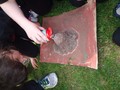 DSC02710.JPG