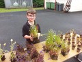 20140626_132642.jpg