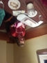 20140612_083037.jpg