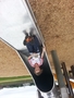 20140612_165614.jpg