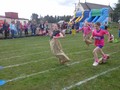 DSC02513.JPG