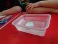 DSC02293.JPG