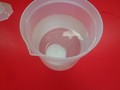 DSC02295.JPG