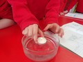 DSC02303.JPG