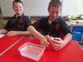 DSC02288.JPG
