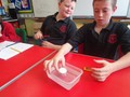 DSC02289.JPG