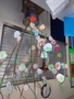 DSC02216.JPG