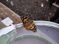 DSC07659.JPG