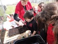DSC07606.JPG