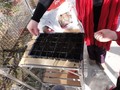 DSC07620.JPG