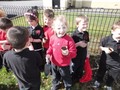 DSC07622.JPG