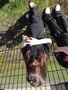 DSC07625.JPG