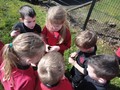 DSC07626.JPG