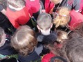 DSC07597.JPG