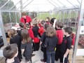 DSC07599.JPG