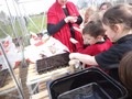 DSC07601.JPG