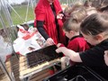 DSC07602.JPG