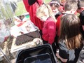DSC07605.JPG
