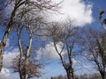 DSC07637.JPG