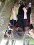 DSC07642.JPG